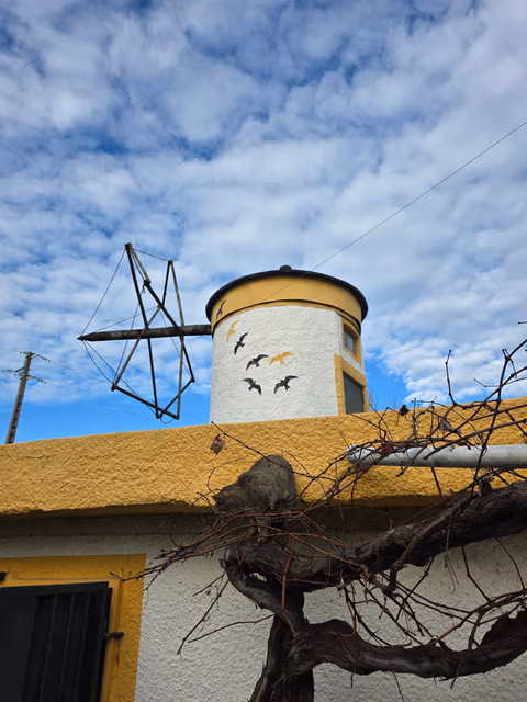 The House Of Mill — foto 2